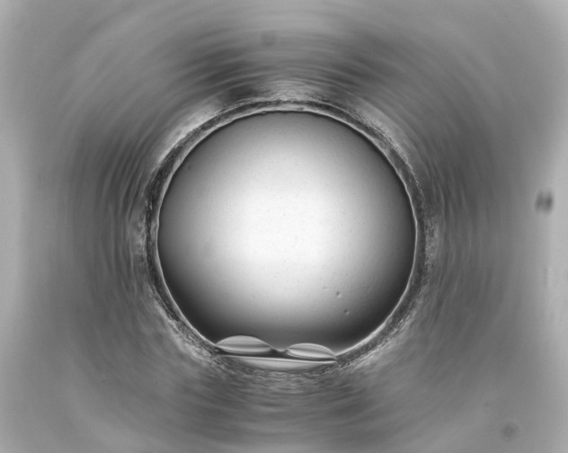 X0000094180827200711021003