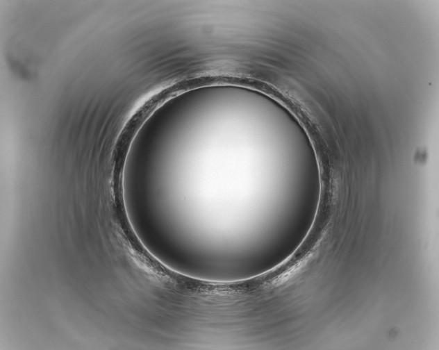 X0000094180830200711021003