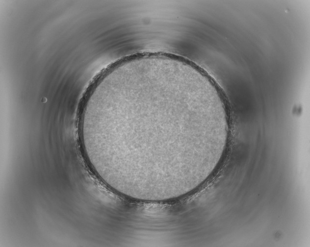 X0000094180832200711021003