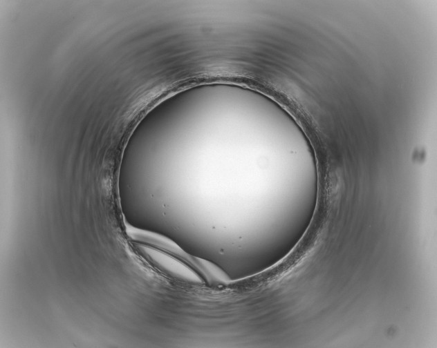 X0000094180833200711021003
