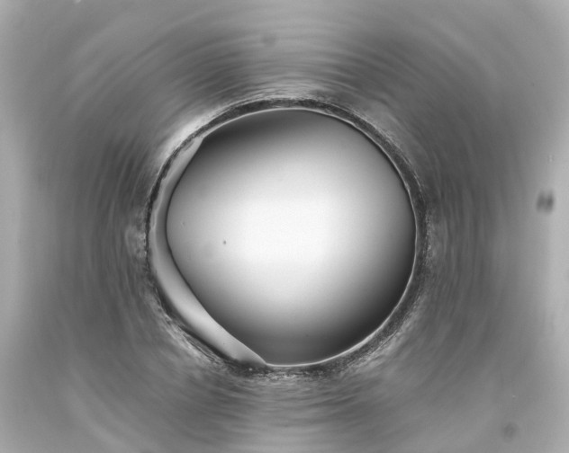 X0000094180834200711021003