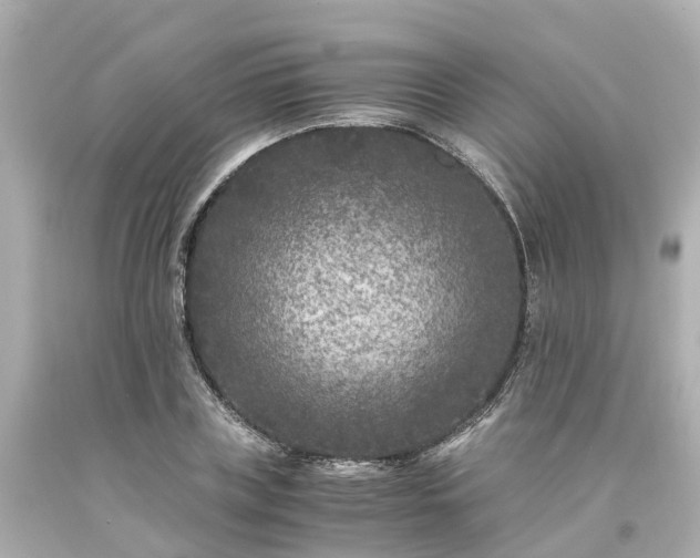 X0000094180835200711021003
