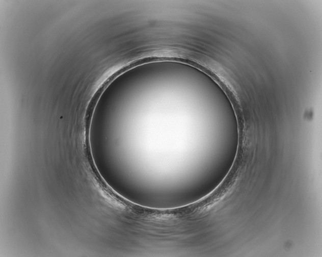 X0000094180837200711021003