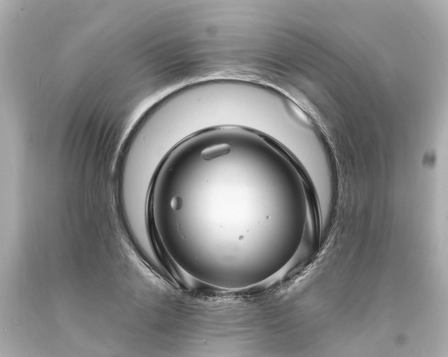 X0000094180838200711021003