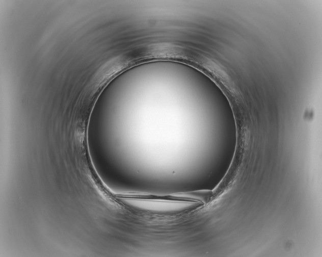 X0000094180841200711021003