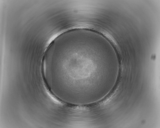 X0000094180842200711021003