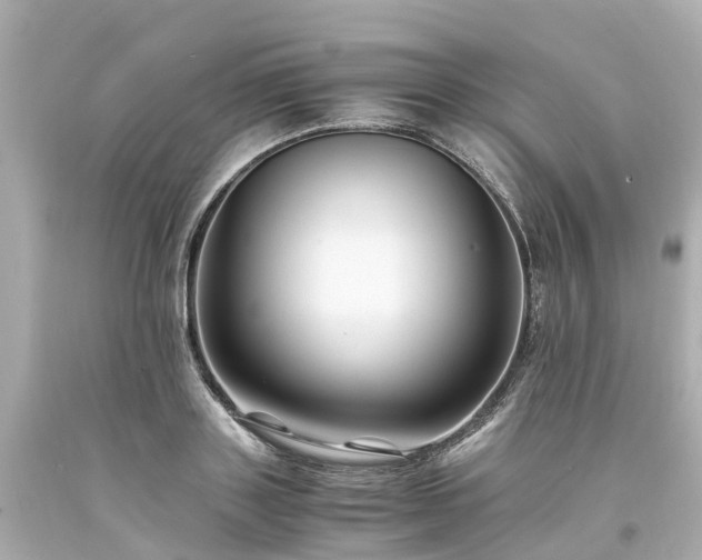 X0000094180843200711021003