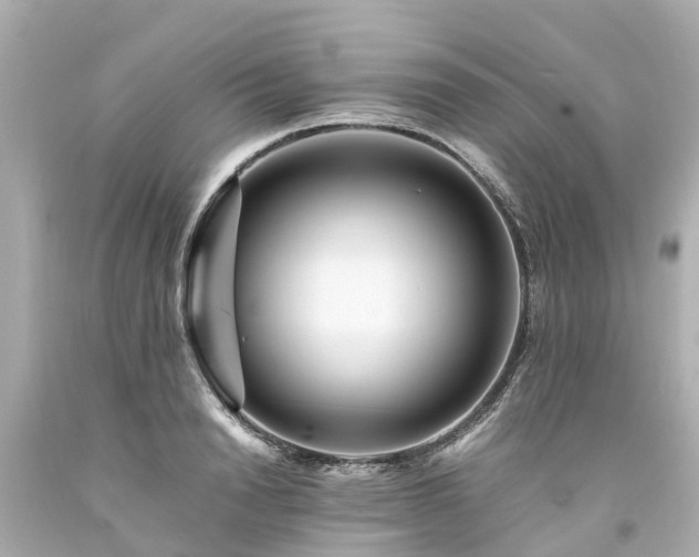 X0000094180846200711021003