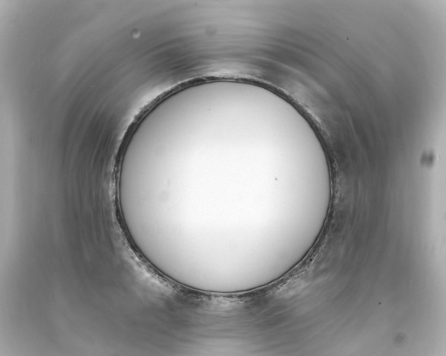X0000094180848200711021003