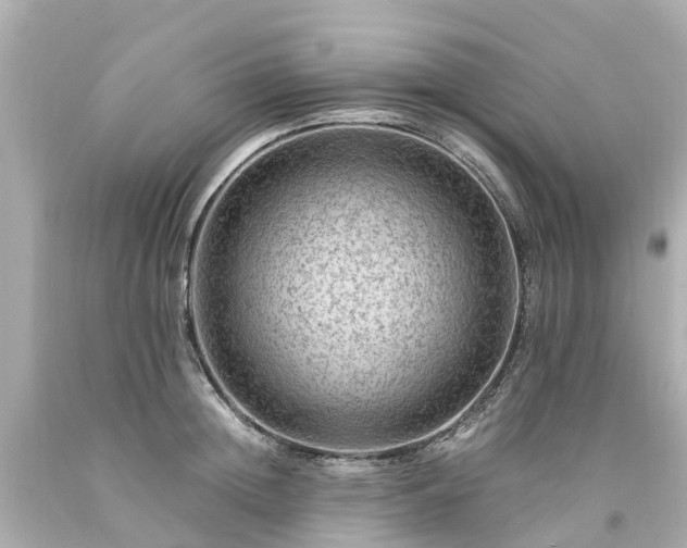 X0000094180852200711021003