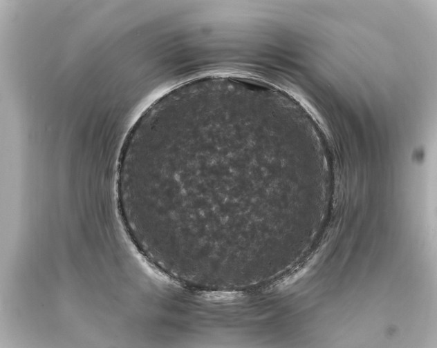 X0000094180853200711021003