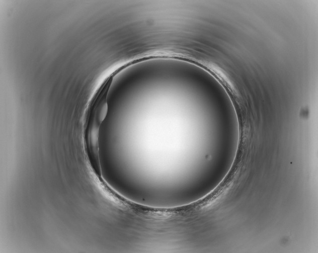 X0000094180854200711021003