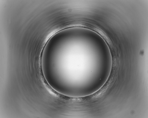 X0000094180858200711021004