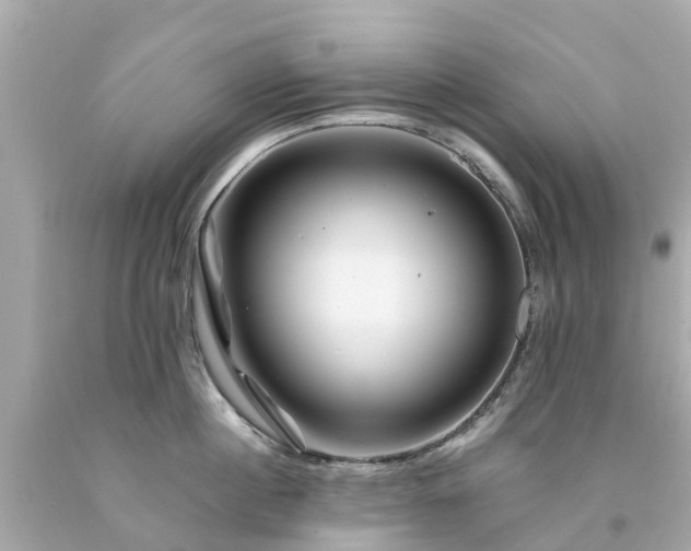 X0000094180860200711021004