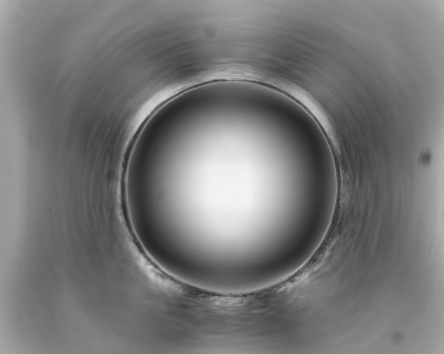 X0000094180861200711021004