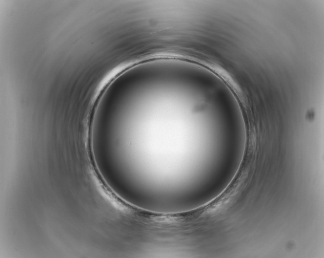 X0000094180862200711021004