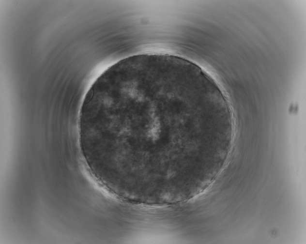 X0000094180864200711021004