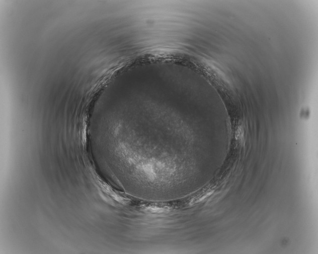 X0000094180868200711021003
