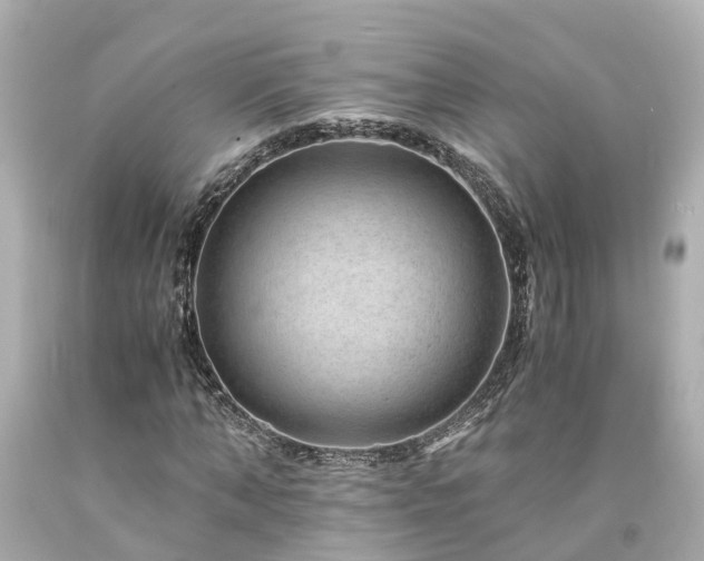 X0000094180870200711021003