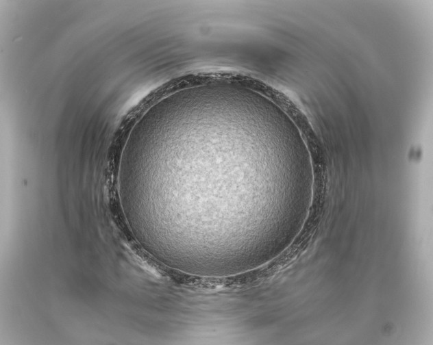 X0000094180871200711021003