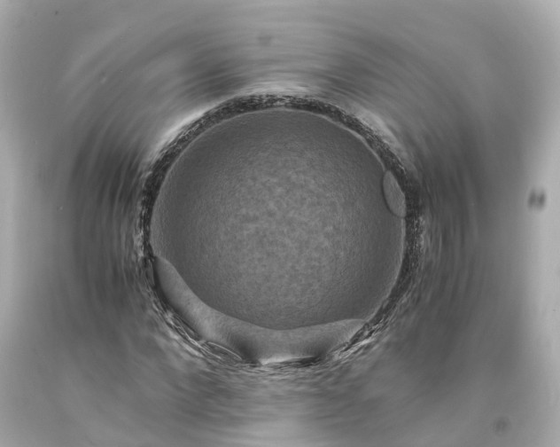X0000094180872200711021003