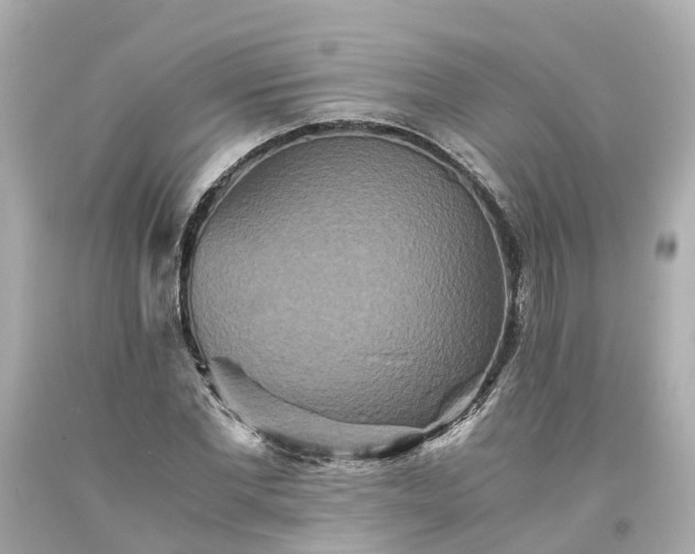 X0000094180877200711021003