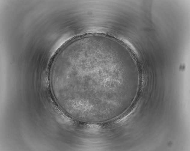 X0000094180878200711021003