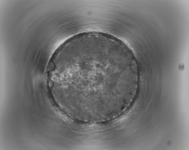 X0000094180879200711021003