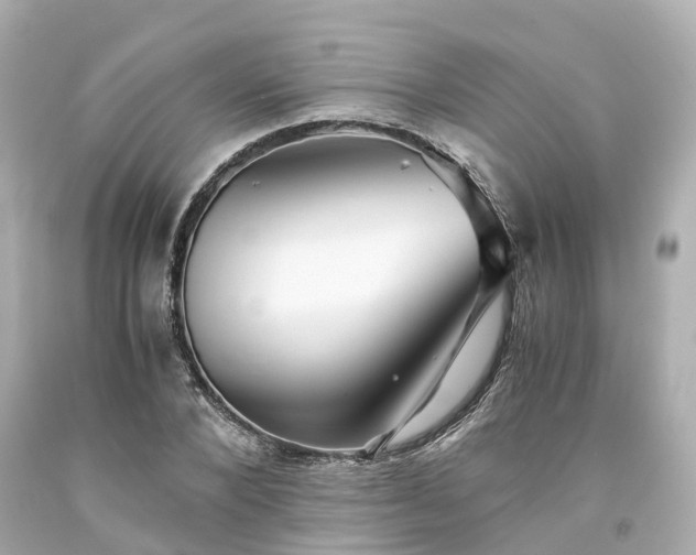 X0000094180880200711021003