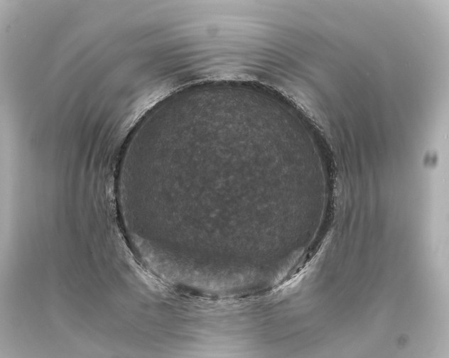 X0000094180881200711021003