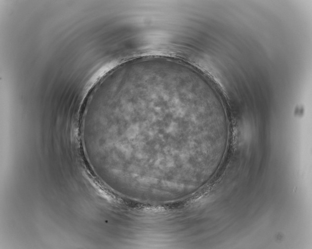 X0000094180882200711021003