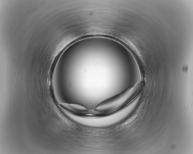 X0000094180885200711021003