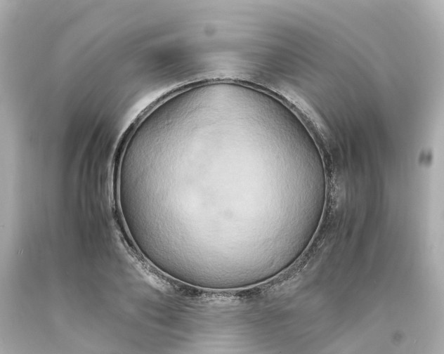 X0000094180886200711021003