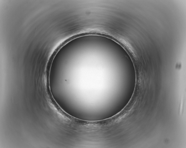 X0000094180888200711021003