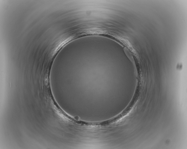X0000094180889200711021003