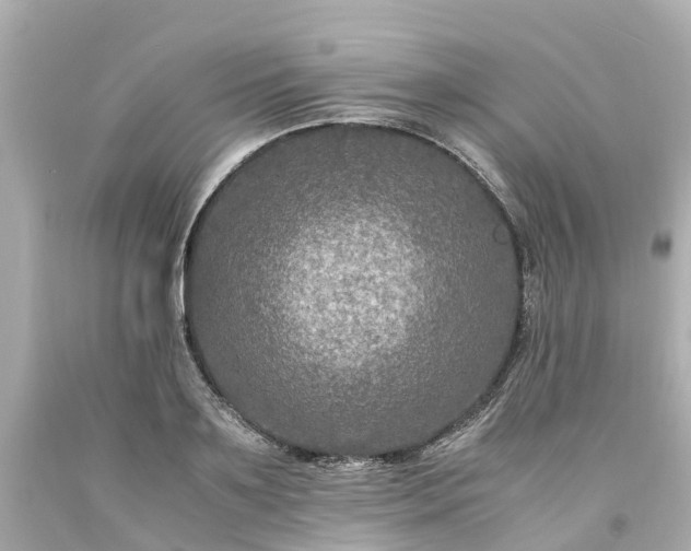X0000094180891200711021003