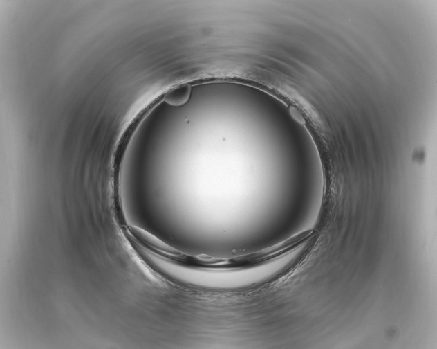 X0000094180894200711021003