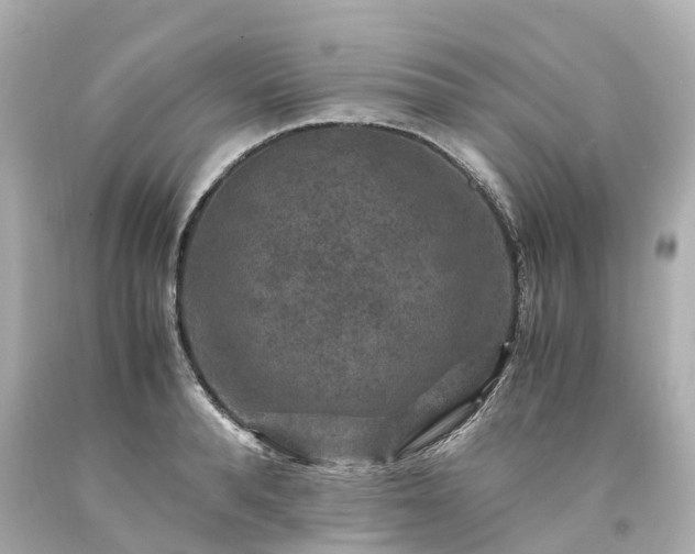 X0000094180896200711021003