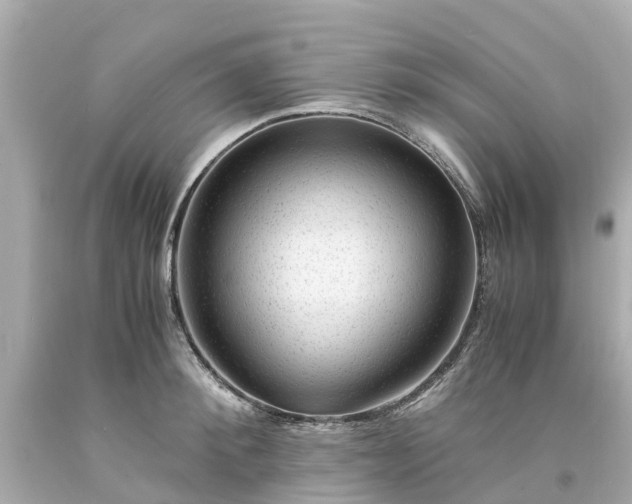 X0000094180900200711021002