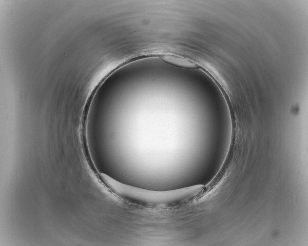 X0000094180901200711021002