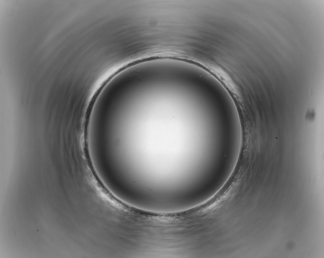 X0000094180904200711021002