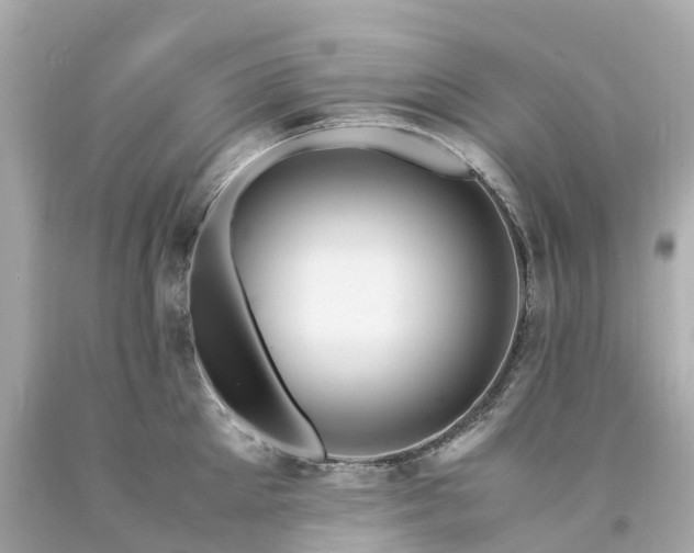 X0000094180905200711021002