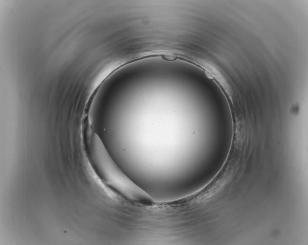 X0000094180906200711021002
