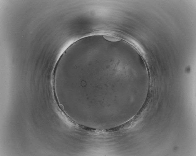 X0000094180907200711021002