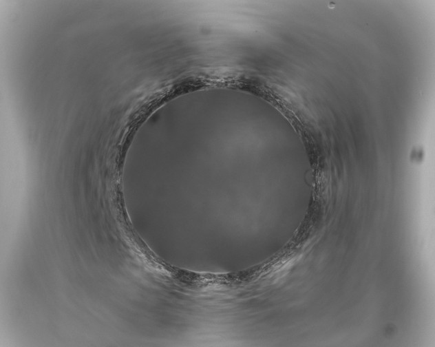 X0000094180913200711021001