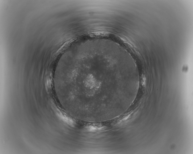 X0000094180915200711021002