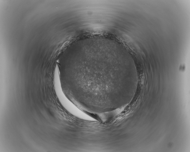 X0000094180916200711021002