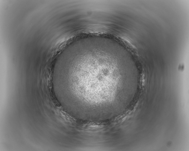 X0000094180917200711021002