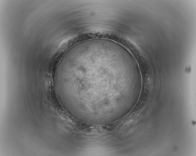 X0000094180918200711021002