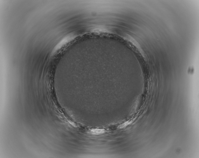 X0000094180919200711021002